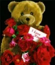 i love you teddybear