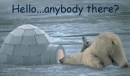 Anybody there?