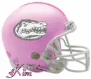 Florida Gators Helmet with Name 