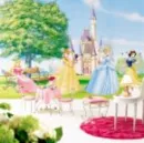 disney princess