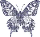 sparkle butterfly