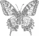 silver diamond tone butterfly