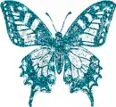 teal color butterfly