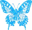 light blue color butterfly