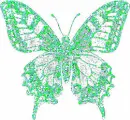 light green color butterfly