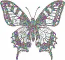 multy color butterfly