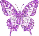 pink/purple butterfly
