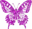 purplish sparkle butterfly