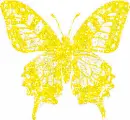 yellow butterfly