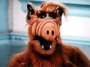 Alf