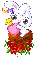 chocolate, luv bunny
