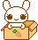 cute bunny in carrot box