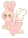 rabbit