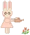 cute rabbit watering plants