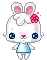 cute bunny