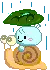 Kaoani