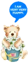 cute bear