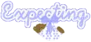 Expecting