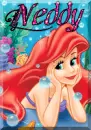 ariel-neddy