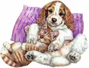 cat+doggy