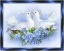 Hello