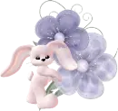 bunny