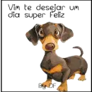 Minhas gifs 2