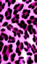 purple chettah