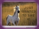 HORSE