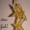 starfish