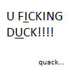 duck