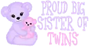 Proud Big Sister of Twins