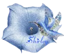 shirley