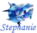 Stephanie - Dolphins