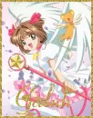 Sakura and Kero-Galuh