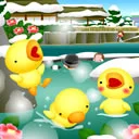 cute chicks