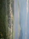 chumato