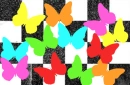 Butterflys and checks