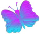colorful butterfly