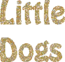 little dogs
