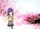 cute girl - sakura