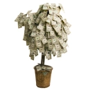 who says money dosn't grow on trees???
