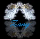 zany
