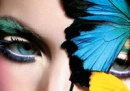 blue eyes & butterfly