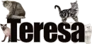 Teresa (cats)
