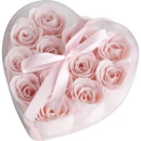 Pink Roses