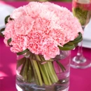 Pink Carnations
