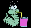 worm drinking