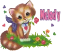 cute kitten flwrs~Melody