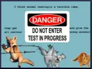 Quote about animal testing